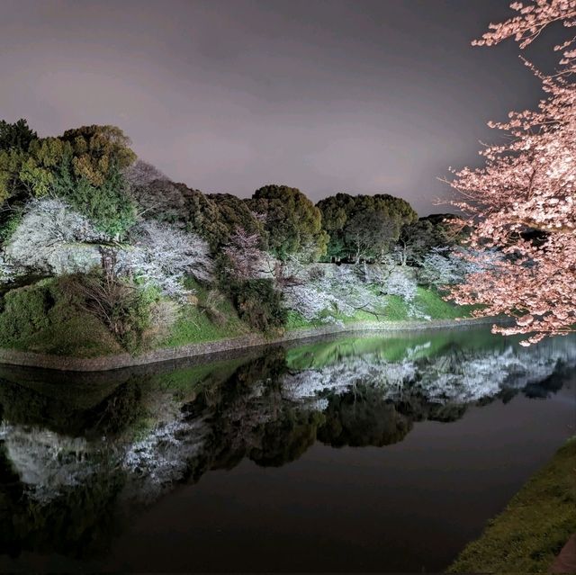 東京景點｜暢遊東京都心的綠洲—皇居外苑．千鳥之淵