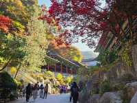 Fall season at the biggest temple in Korea, Guinsa Temple