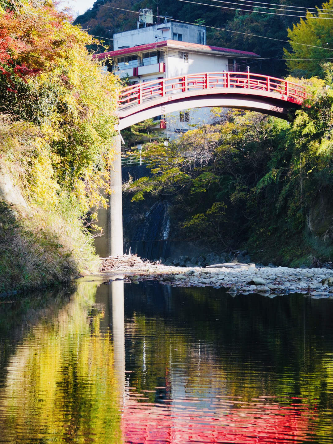楽天市場】金戒光明寺 [ 京都の紅葉 ] ( 秋 もみじ くろ谷さん