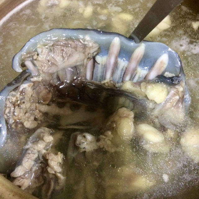 【安心院】その場で養殖している新鮮すっぽんが食べられる貴重店✨