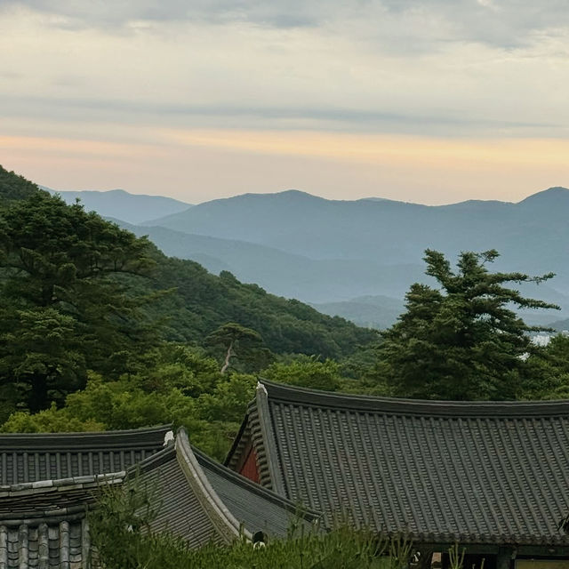 Discovering the Serenity of Beomeosa Temple