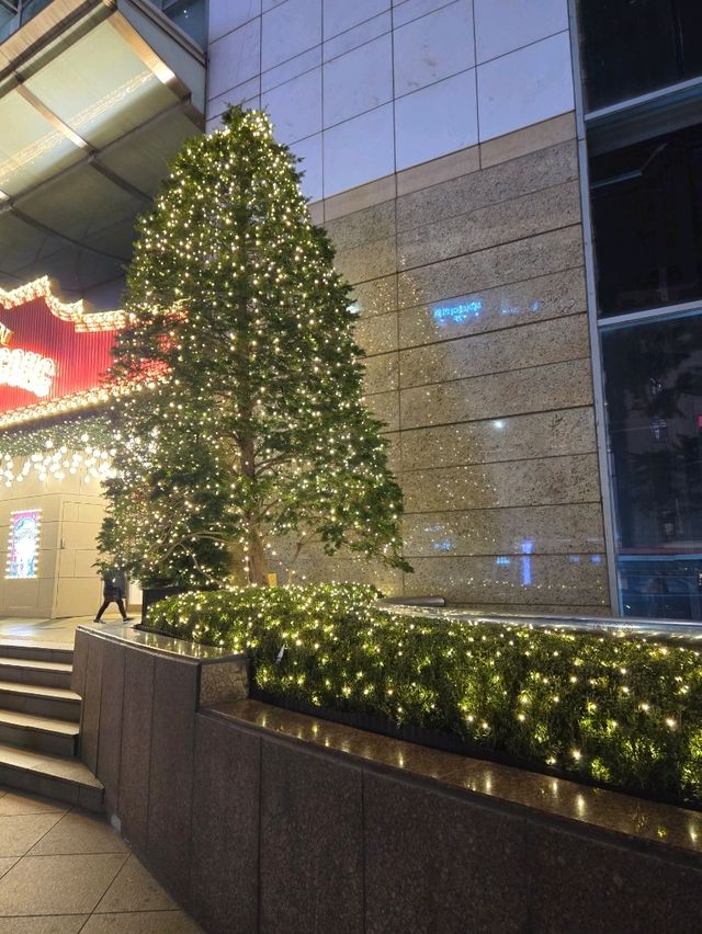 매력있는 크리스마스여행 롯데백화점  본점❤️