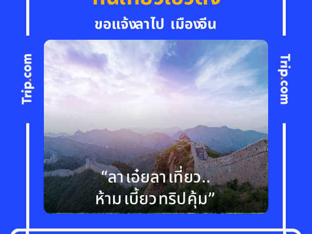 พลูวิลล่าลับใจกลางพัทยา ราคาเริ่มเต้น 3,499 บาท