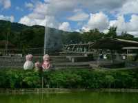 คลายหนาว..เที่ยวน้ำพุร้อนป่าตึง