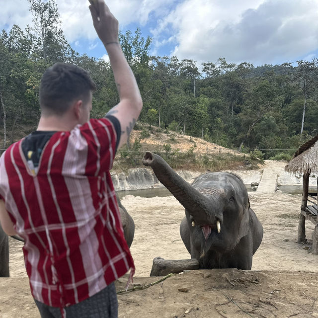 Walking with Giants: An Unforgettable Day at POM Elephant Sanctuary 🐘✨