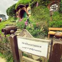 An Unforgettable Adventure in Hobbiton!