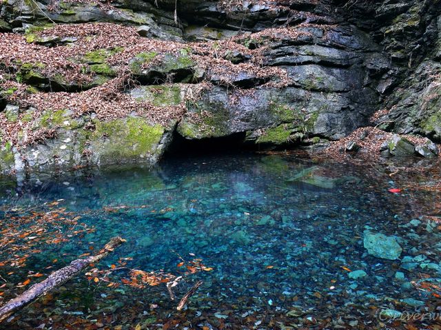 【埼玉県】秩父三大氷柱の一つ！氷の芸術「三十槌の氷柱」