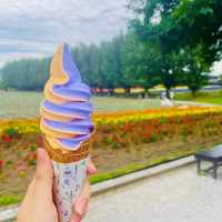 富良野のラベンダー畑は夏も見どころ満載！