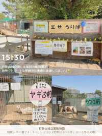 【和歌山/まとめ】和歌山市絶景とグルメの日帰り旅✨