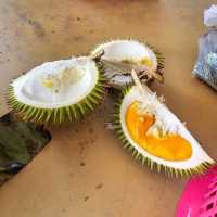 Memorable Trip to Bintulu, Sarawak