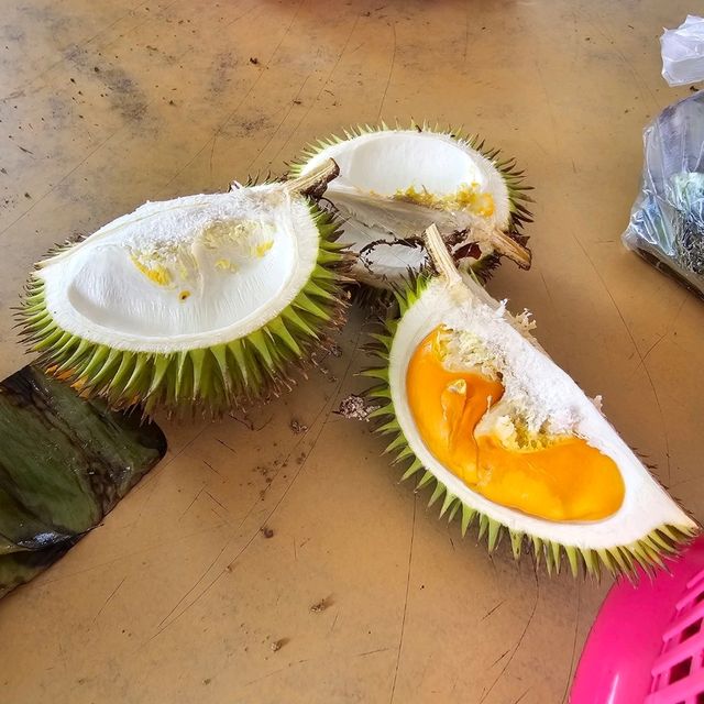 Memorable Trip to Bintulu, Sarawak