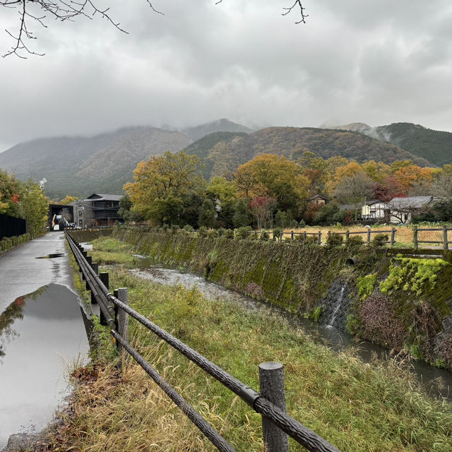 🍁Autumn in Yufuin🇯🇵