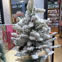 Spark Joy This Christmas at The Green Party! 🎁