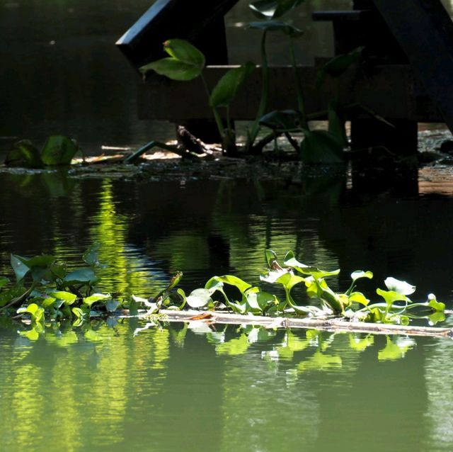 ตลาดน้ำ 3 วัง จ.ชลบุรี