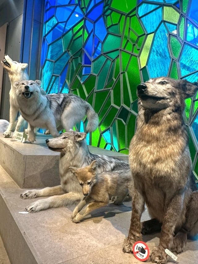 Shanghai Natural History Museum