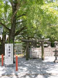 美奈宜神社 & 白峯神社　📍福岡/ 朝倉