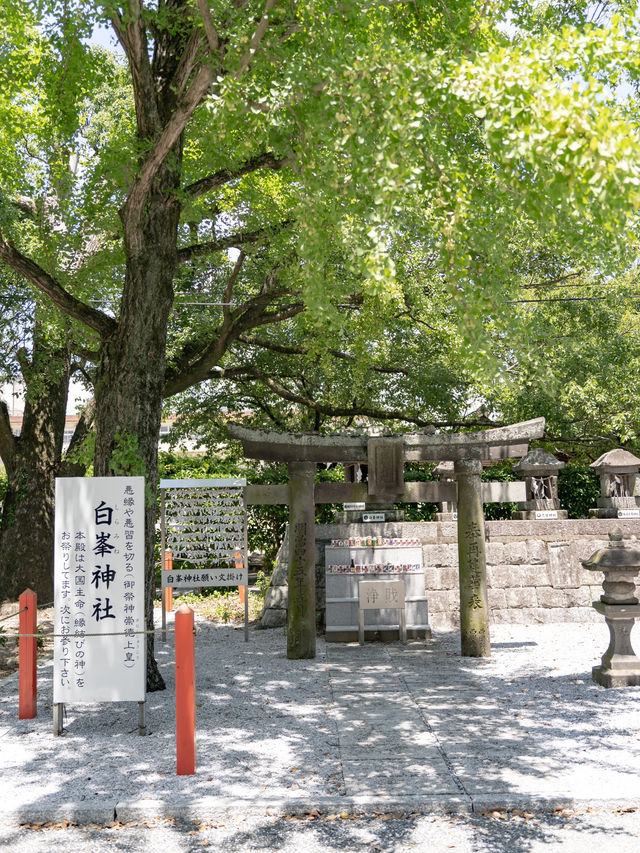 美奈宜神社 & 白峯神社　📍福岡/ 朝倉