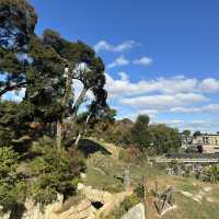 福岡市動植物園 - 在紅葉之美下的奇妙世界