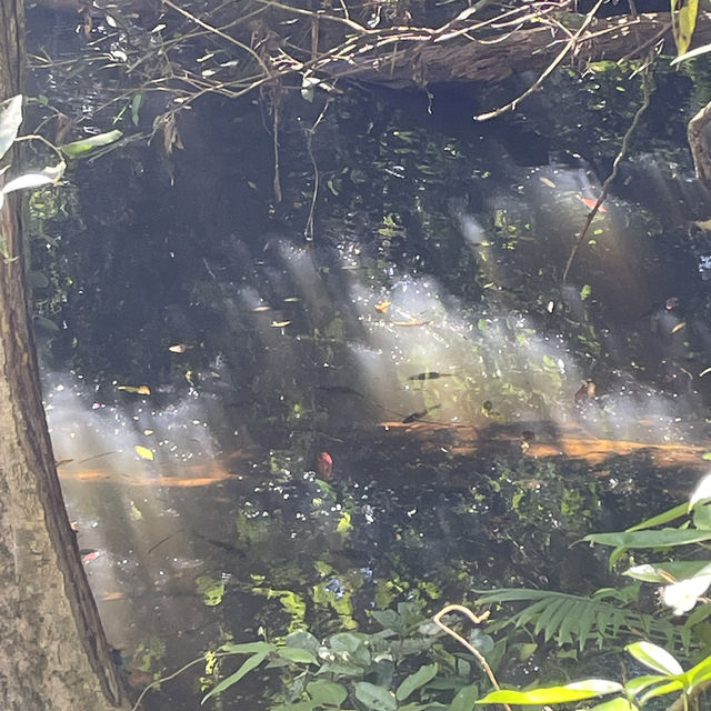 Khao Yai national park