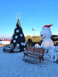 입장권 하나로 하루종일 즐기는 눈마을☃️