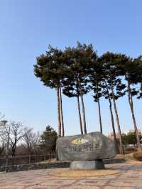 미로 체험이 가능한 국립생타자원 박물관😁