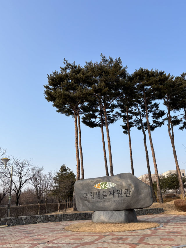 미로 체험이 가능한 국립생타자원 박물관😁