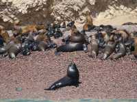 Have you been to a beach in Peru?