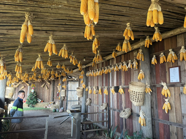  Akha Farmville  🐑⛰️☕️