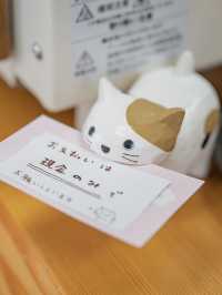 【福井】猫好き必見🐈かわいすぎるクレープ店🍓 