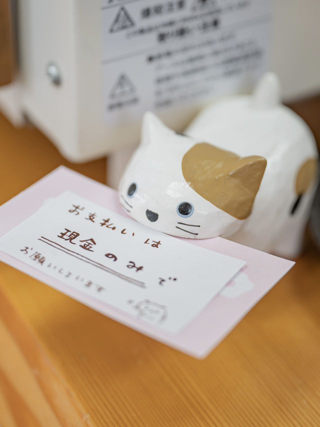 【福井】猫好き必見🐈かわいすぎるクレープ店🍓 