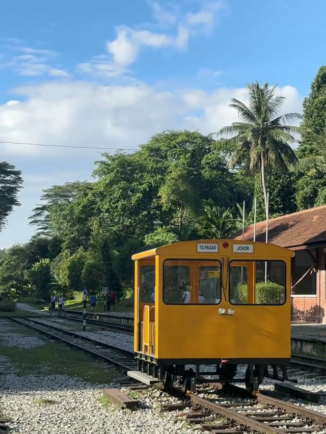 Bukit Timah Summit: Conquering Singapore’s Highest Peak