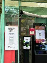 겨울에 가장 아름다운 곳 🌺