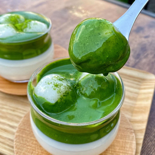 Rich matcha pudding💚
