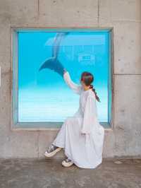 【福井】ツンデレイルカがかわいすぎる🐬 ペンギンのお散歩も必見🐧 　 