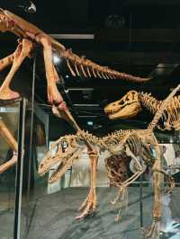 Melbourne Museum is a must-visit destination