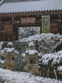 Sendai ในวันที่หิมะโปรยปราย~🌨️❄️🇯🇵