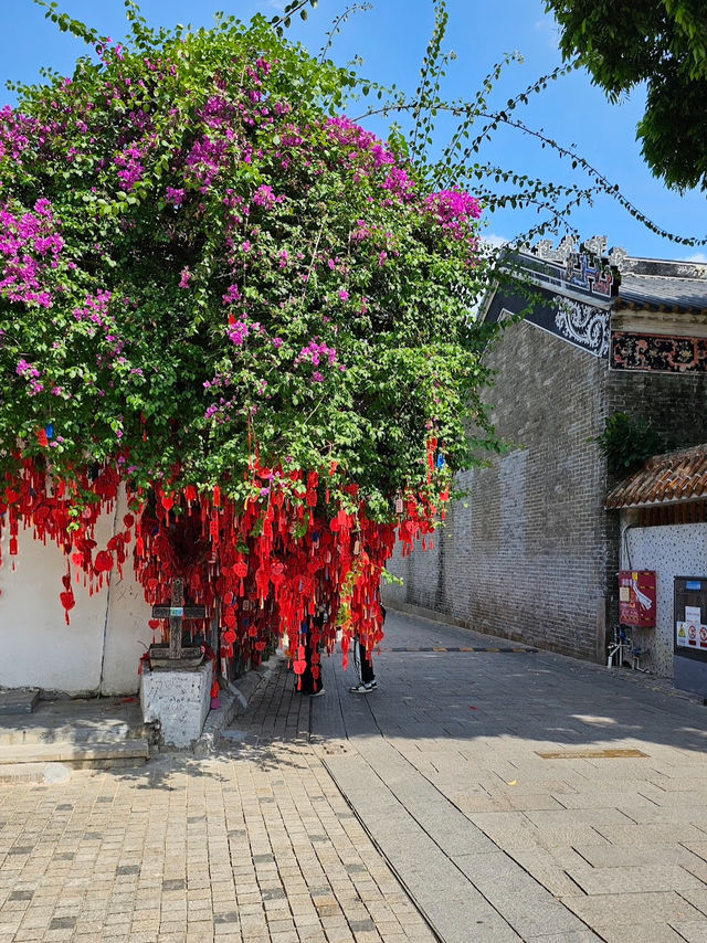  珠海共乐园（Gongle Park）：家庭娛樂與自然親密接觸的好去處