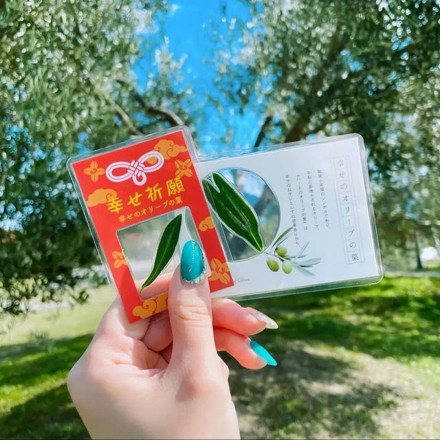 【小豆島】幸せのオリーブの葉をみつける🫒