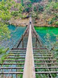 【静岡県】世界が認めた‼️秘境にある絶景吊り橋✨