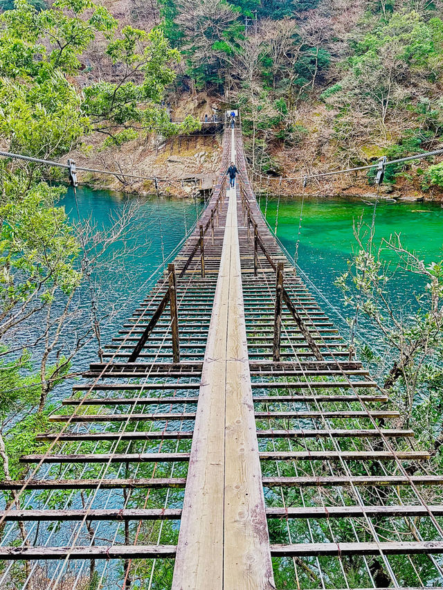 【静岡県】世界が認めた‼️秘境にある絶景吊り橋✨