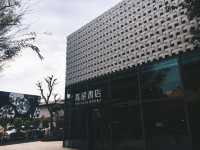 時光慢行：代官山的靜謐書香與午後悠閒