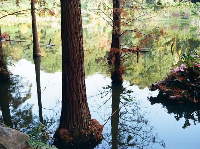 Xianhu Botanical Park — Fairytale Views at the Fairy Lake