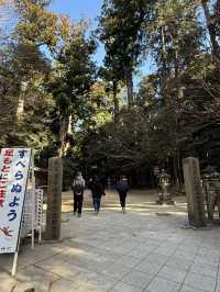 歴史と自然が融合する場所、『鹿島神宮』の魅力⛩️