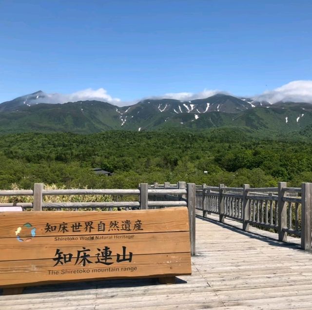 【北海道】知床国立公園〜世界自然遺産の大自然〜