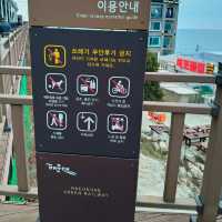 From Cheongsapo to Mipo: A Scenic Stroll Along Korea's Coastal Pathway