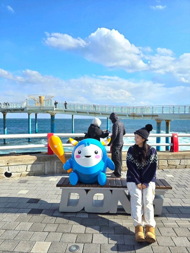 동해여행 필수코스로 추천하는 해랑전망대💙