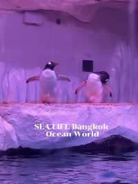SEA LIFE Bangkok Ocean World