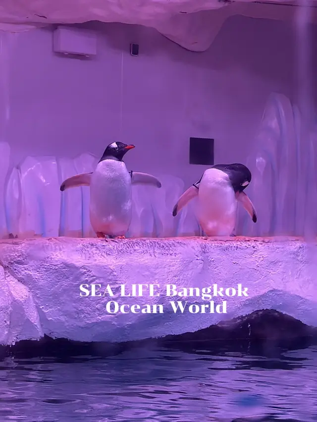 SEA LIFE Bangkok Ocean World