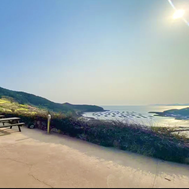 다가올 봄에 가면 좋을 유채꽃과 바다가 보이는 주막- 청산도 서편제 주막