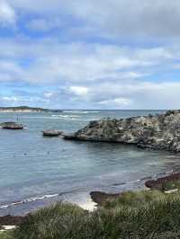 🏝️ A Perfect Day on Rottnest Island: Serene Beaches and Quokkas 